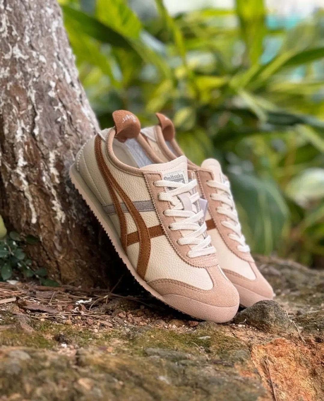 Onitsuk_a Tiger Mexico 66 Cream Khaki Carbon